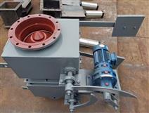 電動雙層鎖氣卸灰閥